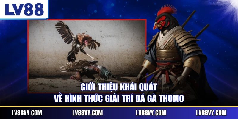 Giới thiệu khái quát về hình thức giải trí đá gà Thomo