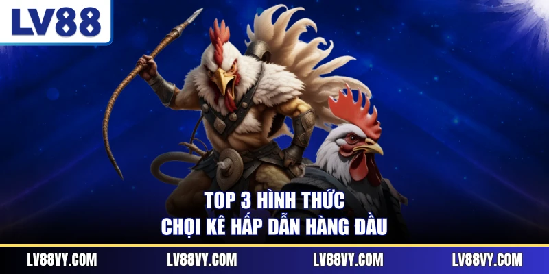 Top 3 hình thức chọi kê hấp dẫn hàng đầu